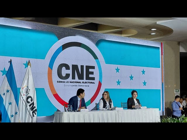 CNE admite fallas en el sistema y habilita acceso especial para transparentar el escrutinio